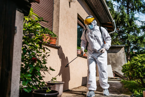 Wasp Removal Services in Homestead Meadows North, TX